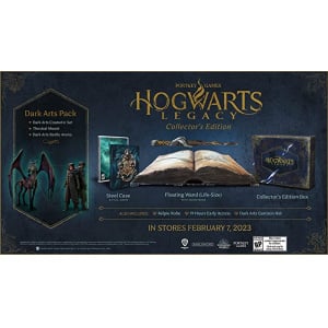 Hogwarts Legacy Collector's Edition (PS5)
